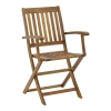 Πολυθρόνα Joter pakoworld πτυσσόμενη ξύλο ακακίας φυσικό 53x60x90εκ Pakoworld 282-000011