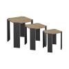 Βοηθητικό τραπέζι Baldo pakoworld σετ 3τεμ oak-ανθρακί μελαμίνης Pakoworld 321-000042
